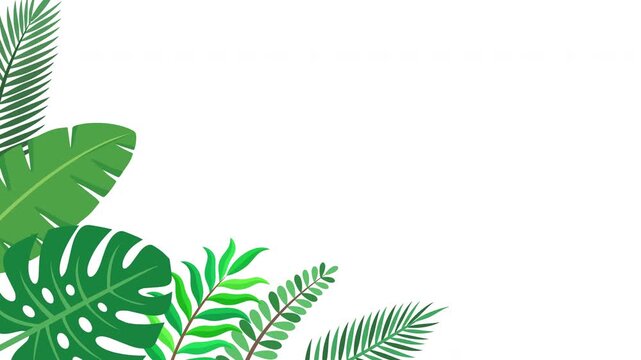 Tropical Green Botanical Bottom Left Corner Frame Animation with Natural Leaf Border Prores Alpha 4K 60 fps Looping Animation