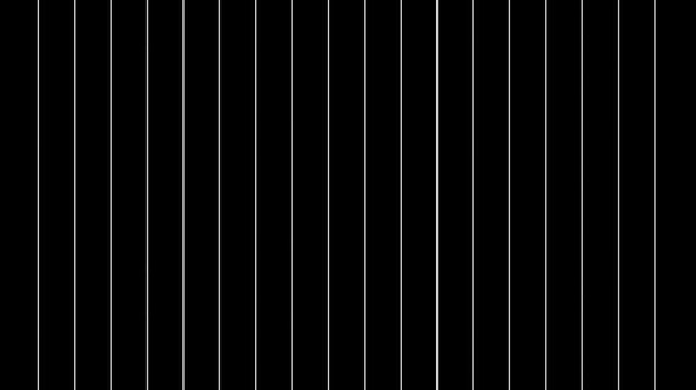 Black vertical line pattern background with thin stripes minimal geometric texture.
