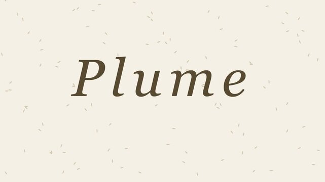 Plume minimalist typography motion on textured paper animation 4k background