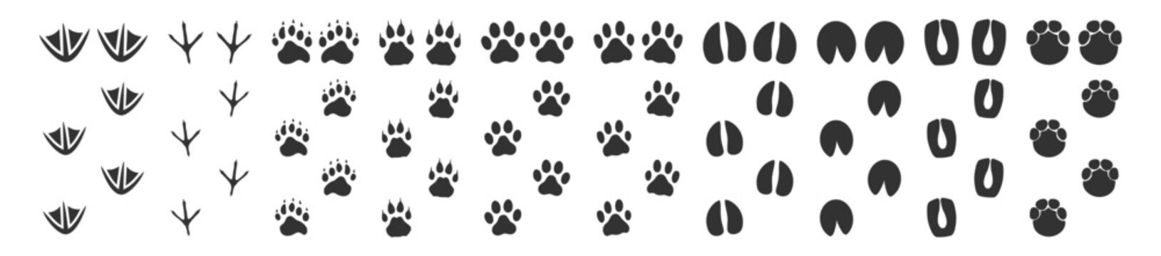 Animal footprint icon set on transparent background