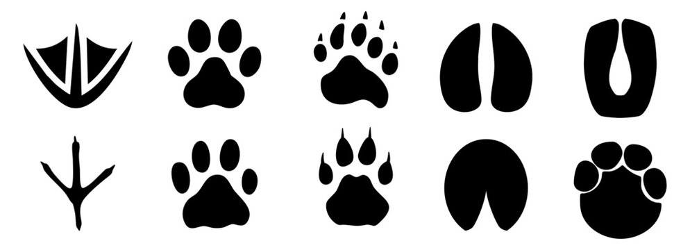 Animal track icon set with bird, paw and hoof prints on transparent background