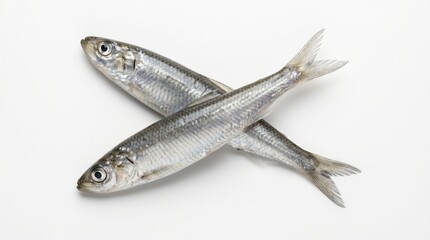 Fototapeta premium Two fresh raw sardines or anchovies fish crossed on a white background, isolated on white background