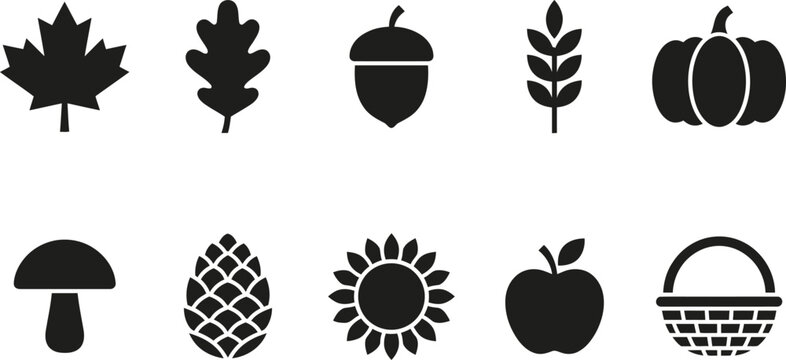 Set of black and white thanksgiving and autumn harvest icons featuring food plants and seasonal decorative elements