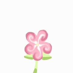 Fototapeta premium pink flower on white background
