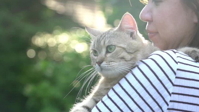 Slow motion shot of an Asian woman holding her fluffy cat on her shoulder with beautiful sunlight bokeh
