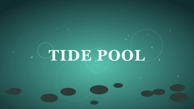Tide pool motion animation 4k background, with floating bubbles, and underwater aesthetic, motion background