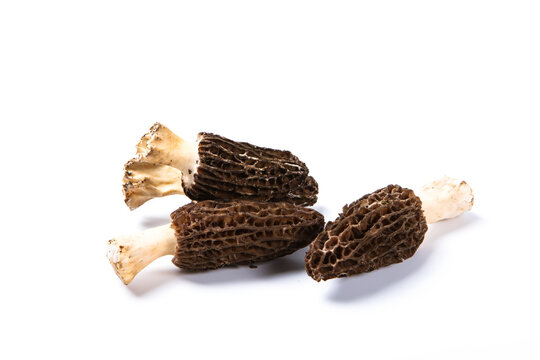 Fresh Morel Mushrooms In Woven Bamboo Basket With Wolfberry