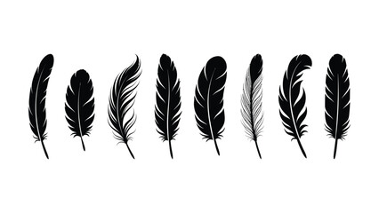 Set of seven black feather illustrations with transparent background for design use © SHOFIQUL