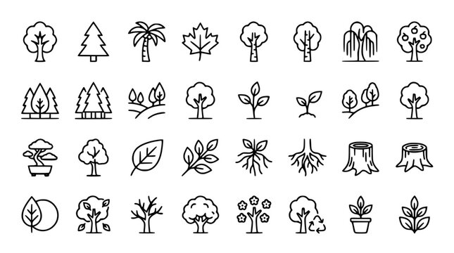 Nature trees and forestry line icon set featuring pine palm maple willow tree types sapling leaves roots and stumps isolated vector illustration