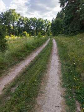 Country Dirt Road Winding Through Green Forest and Meadow Grass