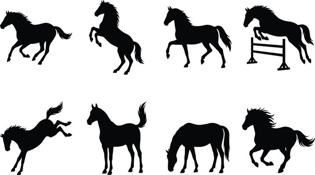 Horse Silhouette Set Collection Running Rearing Trotting Show Jumping Kicking Grazing Standing Poses Vector