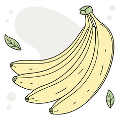 A bunch of ripe bananas with green leaves illustration potassium breakfast smoothie tropical plantain nutritious vitamin b6 carbohydrates minerals illustration graphics creative © japan