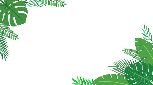 Stylish Tropical Leaf Border Animation with Elegant Botanical Corner Composition Prores Alpha 4K 60 fps