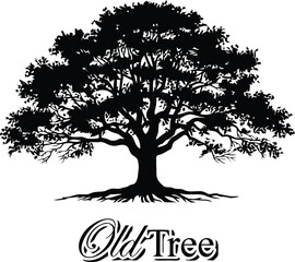 Fototapeta premium Black silhouette of a large ancient tree with exposed roots and decorative text black and white