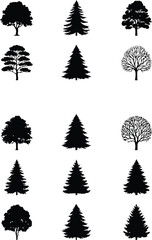 Fototapeta premium Collection of black tree silhouettes deciduous and coniferous varieties white nature