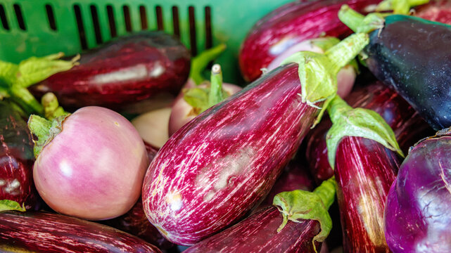 Fresh eggplants are stacked in a green basket at a local market in the afternoon