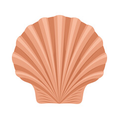 Scallop marine seashell vector illustration © Julia Bilevych