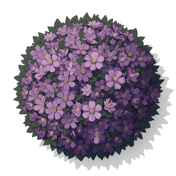 Flat vector ageratum houstonianum bush top view for landscape plan