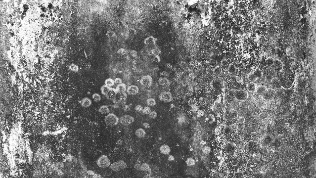 Black and white concrete wall texture with circular weather stains and aged rough surface. Monochrome industrial abstract background.