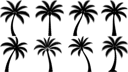 Fototapeta premium Stylish Summer Palm silhouette set clipart featuring smooth black shapes and timeless tropical appeal. Great for branding, travel themes, botanical designs, landscaping, and vector illustrations.