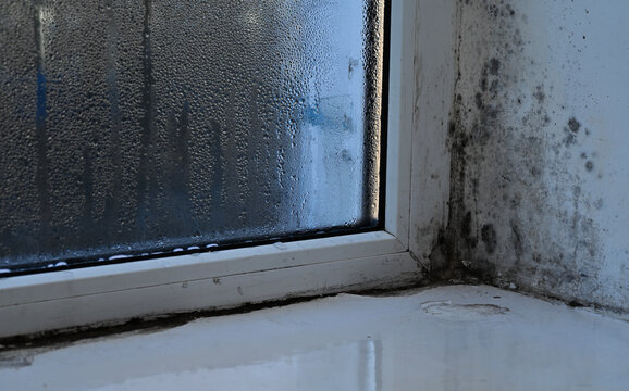 Mold appearing on window frame and wall corner inside residential room, mould spots clustered along edges and joints. Mold growth linked to moisture exposure, condensation, unhealthy indoor conditions