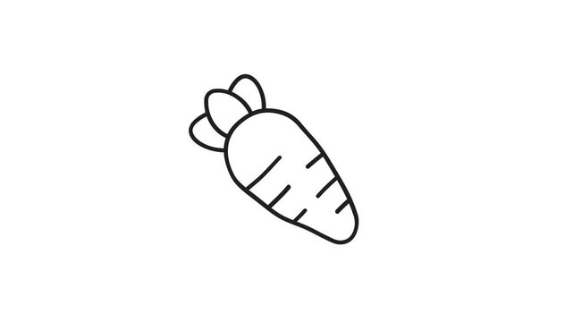 Simple animated line-art carrot icon, transparent background, 4K video.