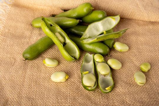 Fava beans in pods and shelled on burlap background
