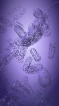 Purple rod-shaped microbes move through a glowing cellular field in a vertical macro animation, ideal for healthcare campaigns, science explainers, and social media.