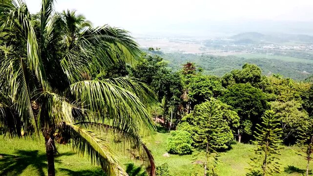 Thick varieties of tropical forest trees cover the rugged terrain of the steep mountain adjacent to the Sierra Madre Mountains. Drone aerial