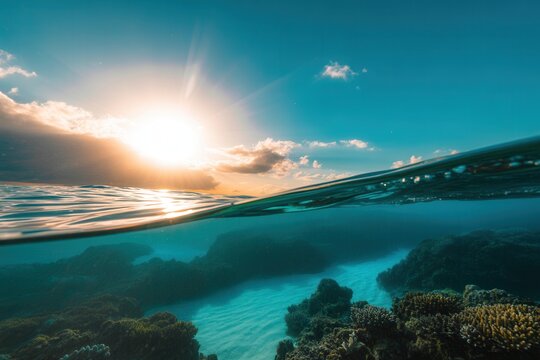 Ocean surface split view above and below water. Tropical travel concept.