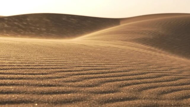 Soft desert wind gradually reshaping perfectly clean sand ripples beneath warm golden evening light. Fine grains move naturally creating elegant flowing patterns across untouched dunes. Low cinematic 