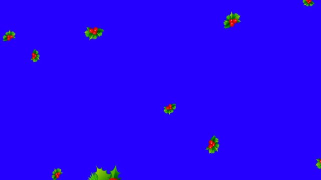 Festive animation of falling Christmas holly berries with green leaves on blue screen background.