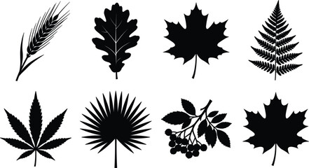 Black silhouette vector icon collection of various tree leaves, fern, palm, wheat, and berry branch © Sanjina