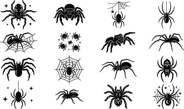 Spooky black spider, creepy cobweb, and tarantula vector silhouette icon collection for Halloween graphic design
