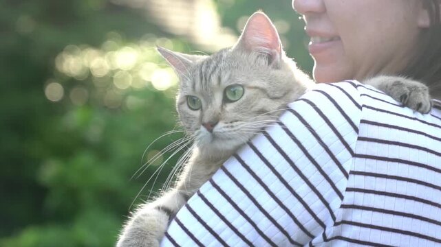 Slow motion shot of an Asian woman holding her fluffy cat on her shoulder with beautiful sunlight bokeh.