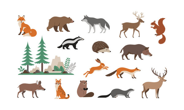 Woodland Animals Flat Illustration Set.