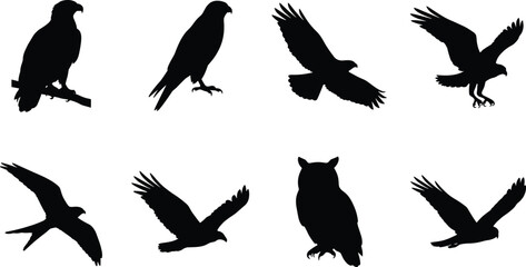 Naklejka premium Bird of Prey Silhouette Set with Eagles Hawks Falcons Owls and Flying Raptor Vector Collection