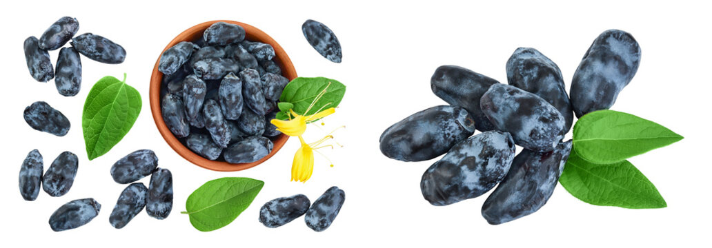 Fresh honeysuckle blue berry in ceramic bowl isolated on white background with full depth of field. Top view. Flat lay