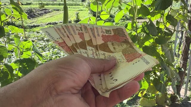  A man proudly holds a fanned stack of multiple 5,000 Pakistani Rupee notes outdoors, showcasing his cash earnings and financial achievement, with a scenic field view in the background.