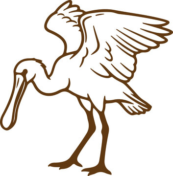 Roseate spoonbill dark.