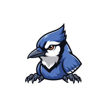 Cartoon mascot illustration of a focused blue jay bird.