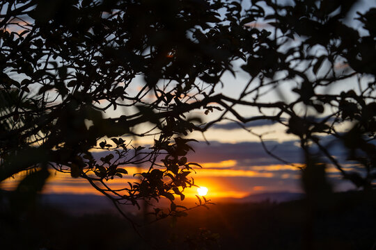 Sunset glowing through silhouette tree branches and foliage in Ibitipoca landscape