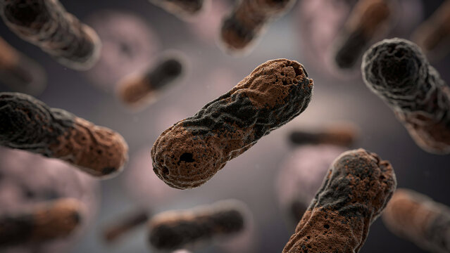 Microscopic view of rod-shaped bacteria with textured surfaces, detailed 3D rendering, perfect for medical research, science education and biology presentations