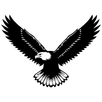 Flying eagle with symmetrical wings, dynamic pose, vector illustration on white.