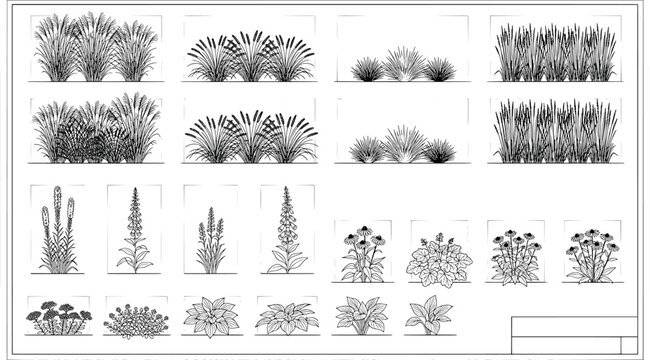 Ornamental garden plants and grasses cad library