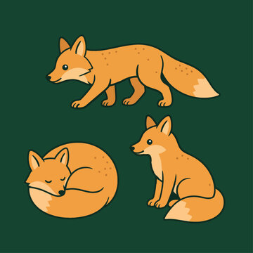 Set of fox illustrations in a cartoon style in vector