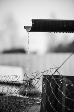 Black and White Close Up of Water Dripping From Gutter Roof on Chain Link Fence During Rain