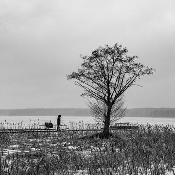 Minimalist Black and White Winter Landscape With Solitary Tree and Person on Wooden Pier