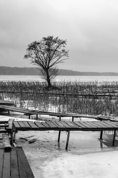 Minimalist Black and White Vertical Landscape With Wooden Piers and Solitary Tree on Frozen Lake