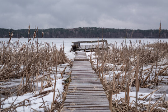 Perspective View of Wooden Boardwalk Leading to Fishing Pier Through Dry Reeds